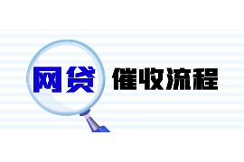 景德镇景德镇的要账公司在催收过程中的策略和技巧有哪些？